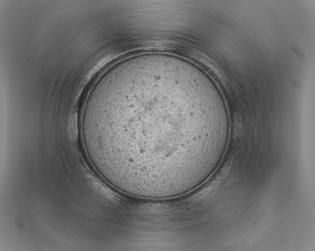 X0000112781075200909031625