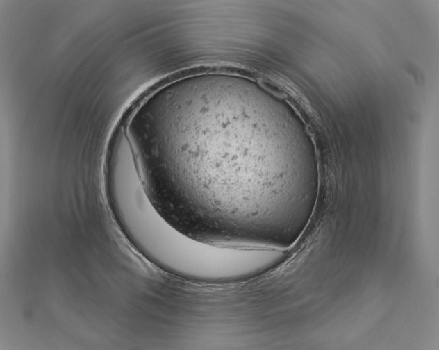 X0000112781076200909031624