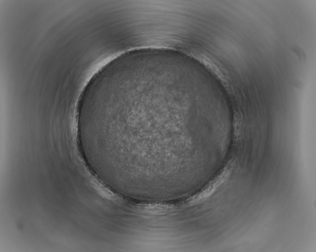 X0000112781077200909031624