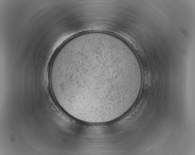 X0000112781078200909031624