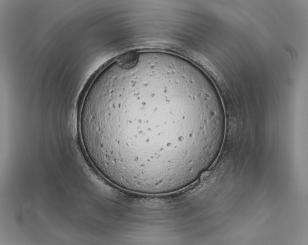 X0000112781079200909031624