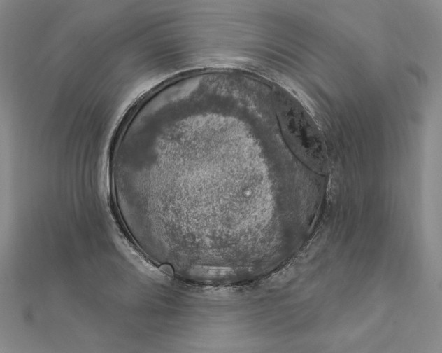 X0000112781080200909031624