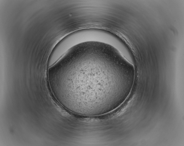 X0000112781081200909031624