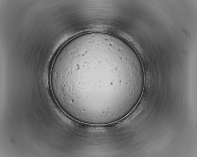 X0000112781083200909031624