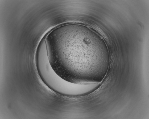 X0000112781084200909031624