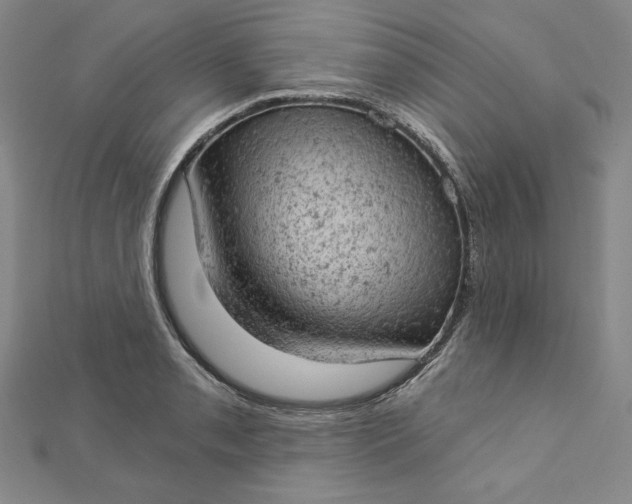 X0000112781085200909031624