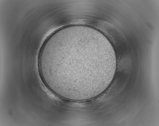 X0000112781086200909031624