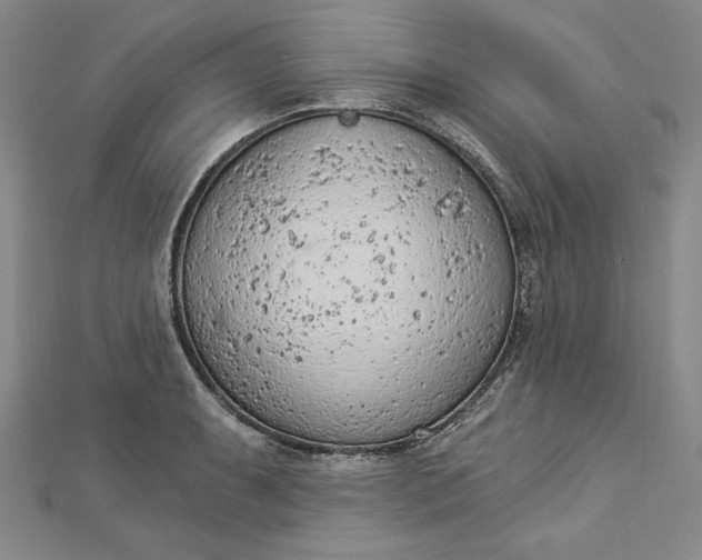 X0000112781087200909031624