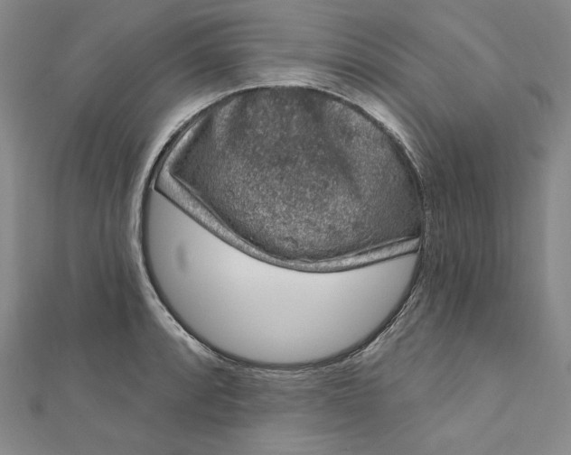 X0000112781088200909031624