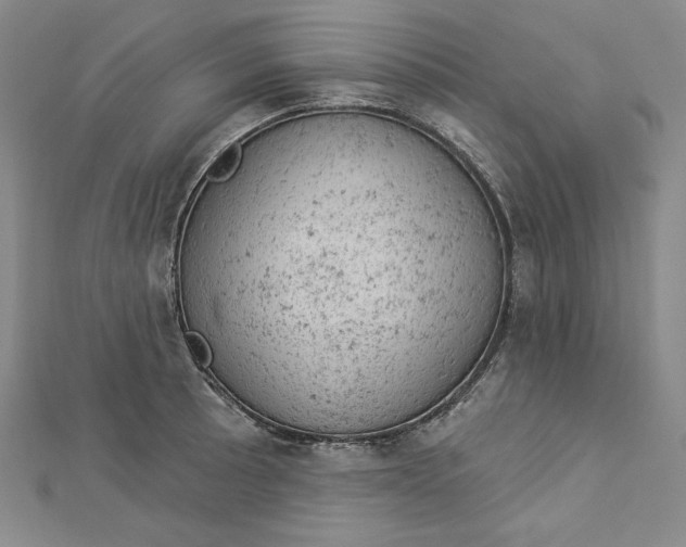 X0000112781089200909031624