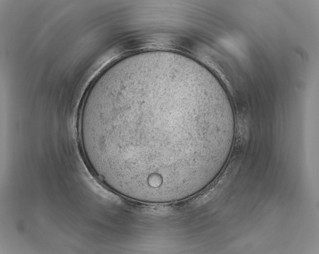 X0000112781090200909031624