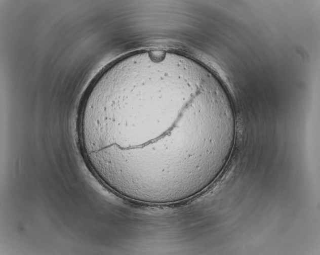 X0000112781091200909031624