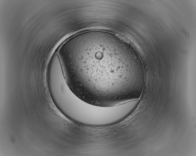 X0000112781092200909031624