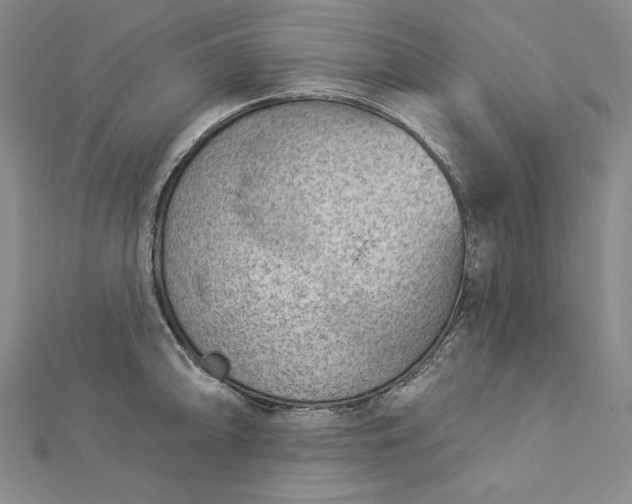 X0000112781094200909031624