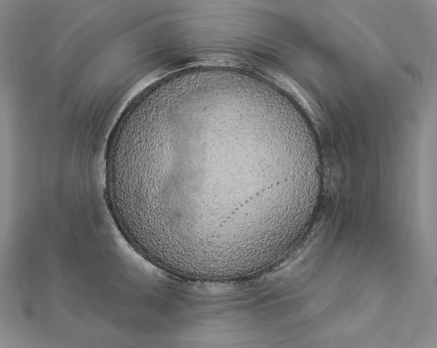 X0000112781095200909031624