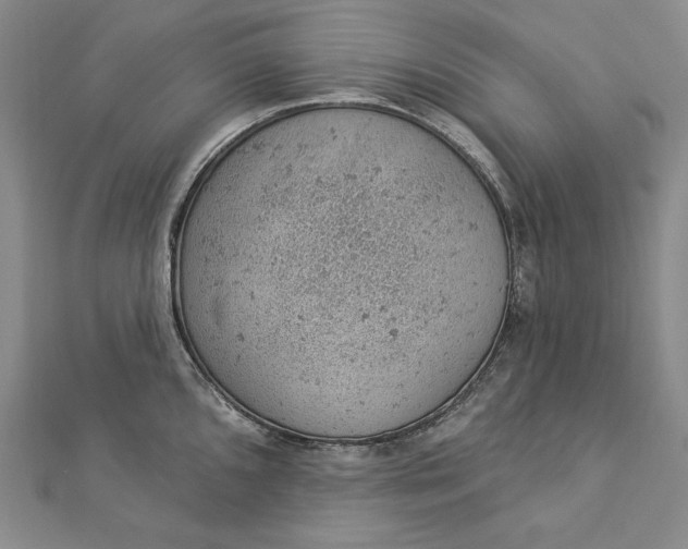 X0000112781096200909031624