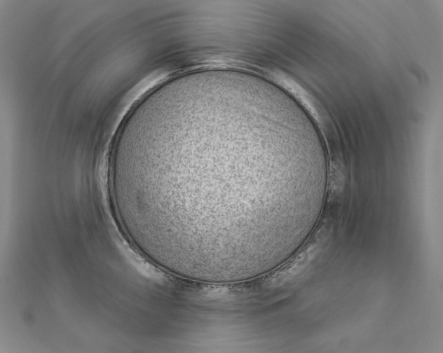 X0000112781098200909031624