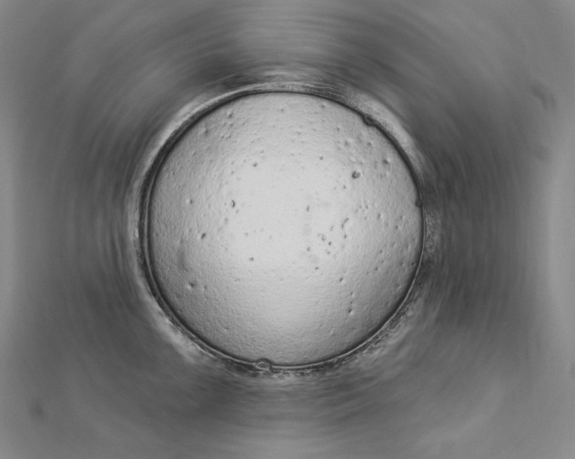 X0000112781099200909031624