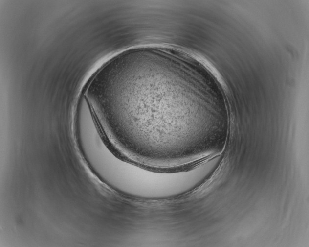 X0000112781101200909031624