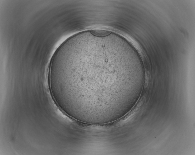 X0000112781102200909031624