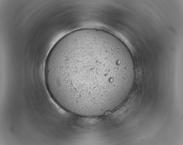 X0000112781103200909031624