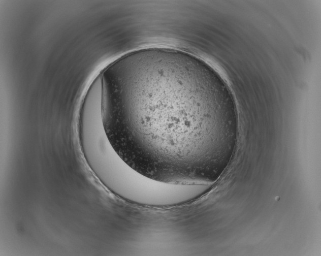 X0000112781104200909031624