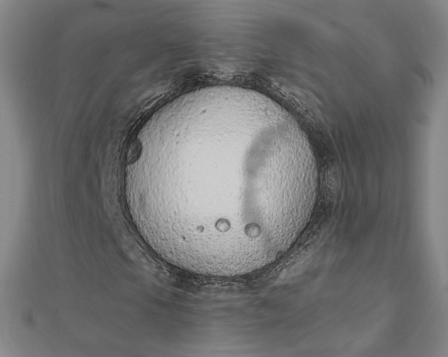 X0000112781105200909031624