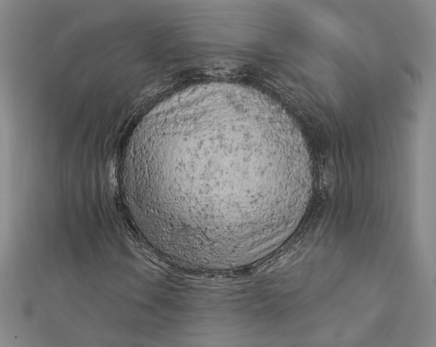 X0000112781106200909031624