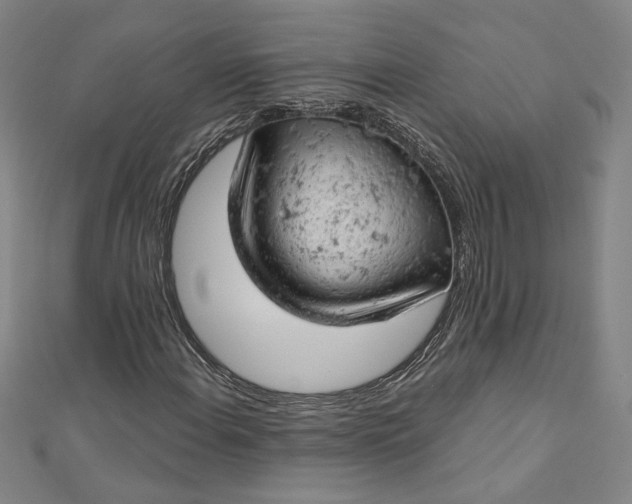 X0000112781108200909031624