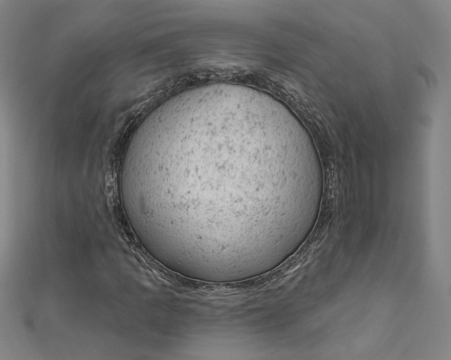 X0000112781109200909031624