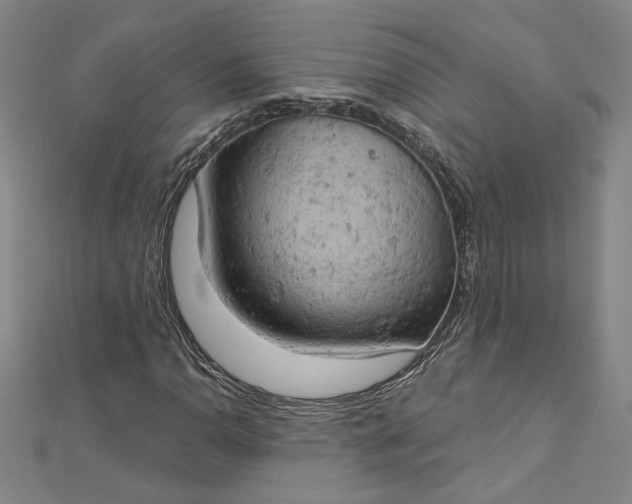 X0000112781110200909031624