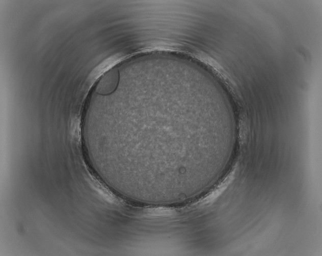 X0000112781113200909031624