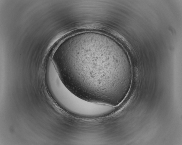 X0000112781114200909031624