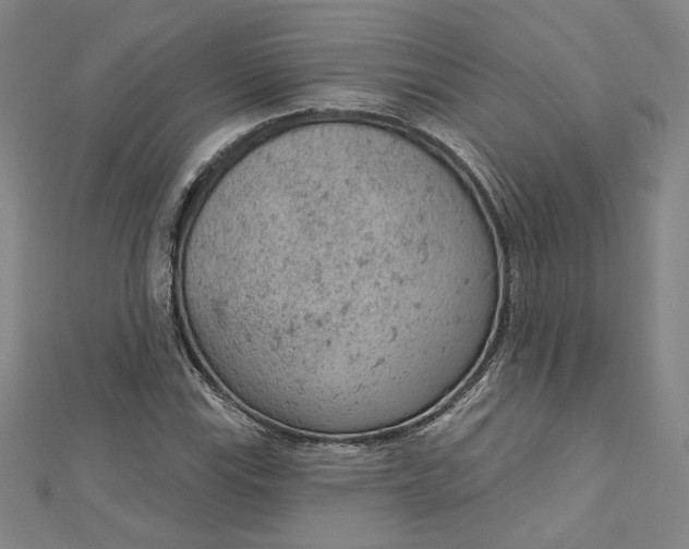 X0000112781115200909031624