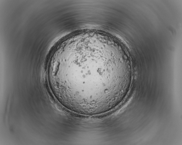 X0000112781117200909031624