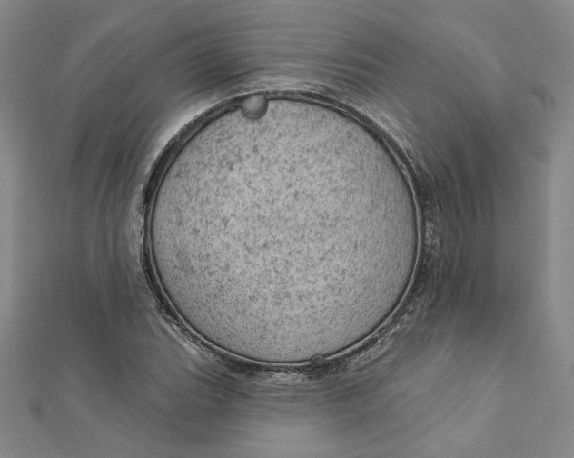 X0000112781119200909031624