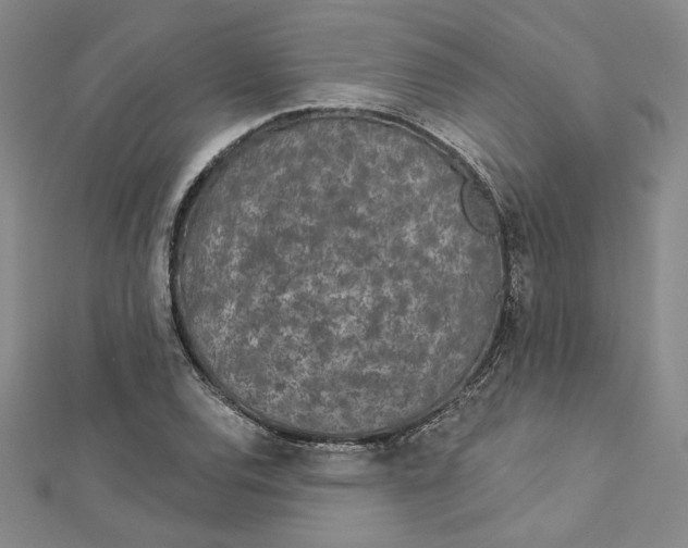 X0000112781120200909031624