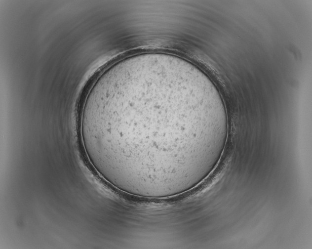 X0000112781122200909031624