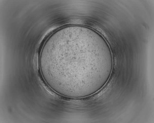 X0000112781123200909031624