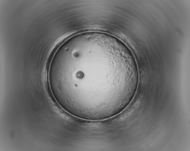 X0000112781125200909031624