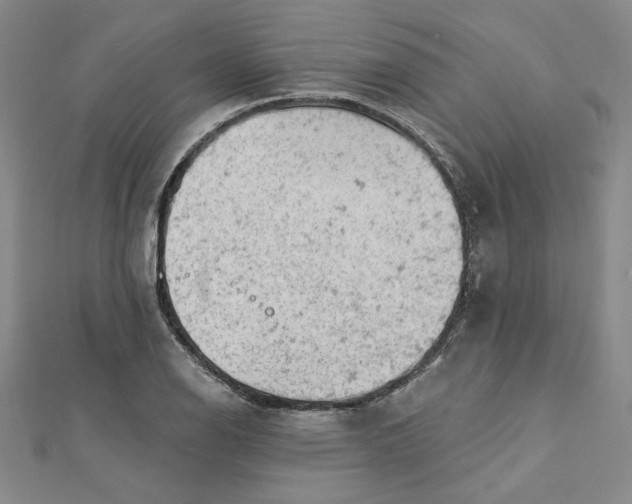 X0000112781126200909031624