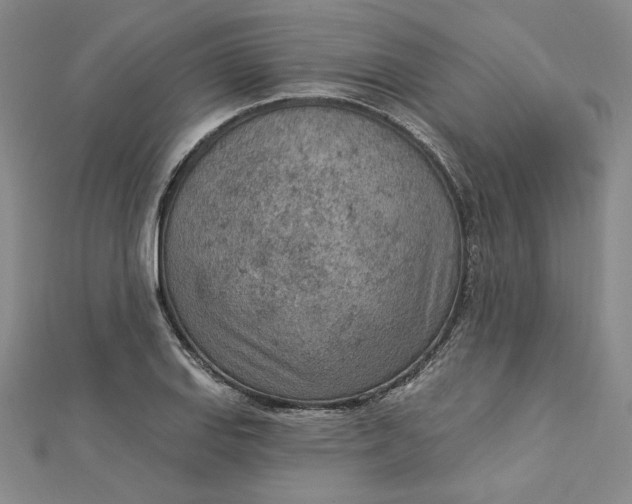 X0000112781127200909031624