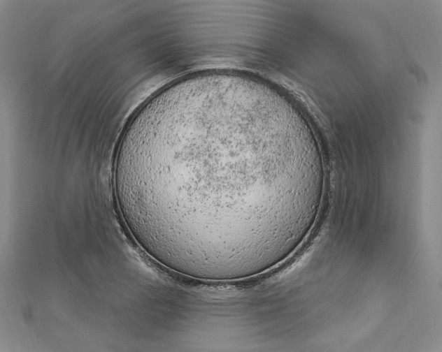 X0000112781129200909031624