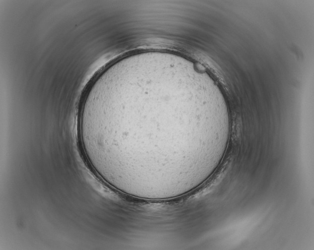 X0000112781130200909031624