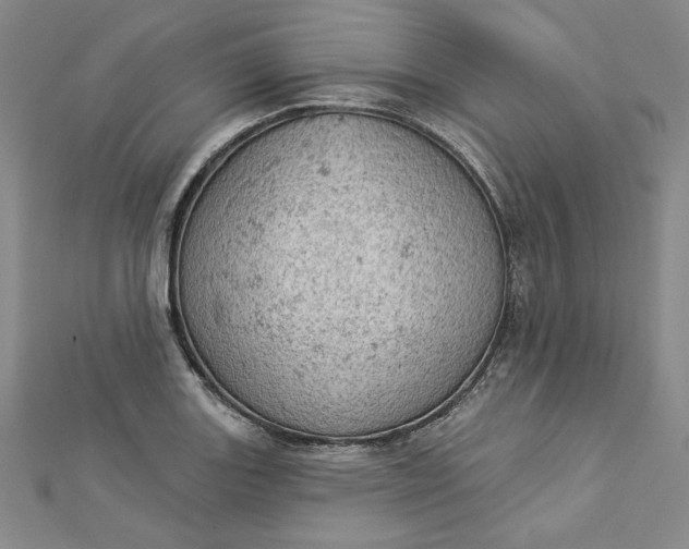 X0000112781131200909031624