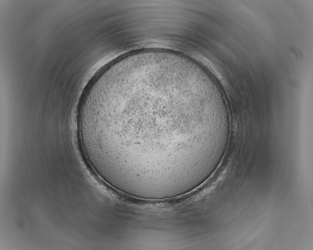 X0000112781133200909031624