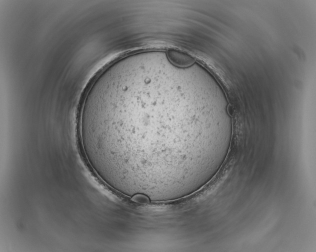 X0000112781134200909031624