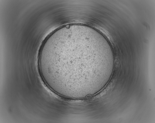 X0000112781135200909031624