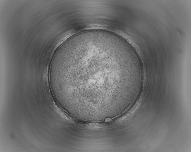 X0000112781137200909031624