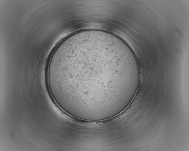 X0000112781139200909031624